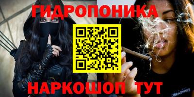 гашик Рыбинск