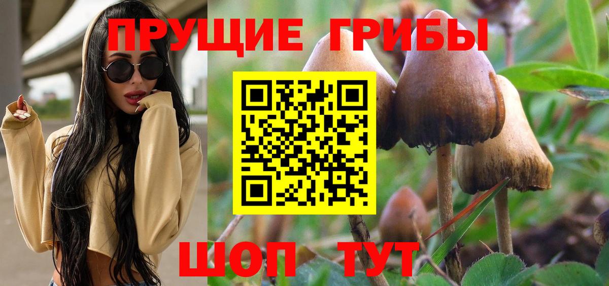 Галлюциногенные грибы Cubensis Семилуки